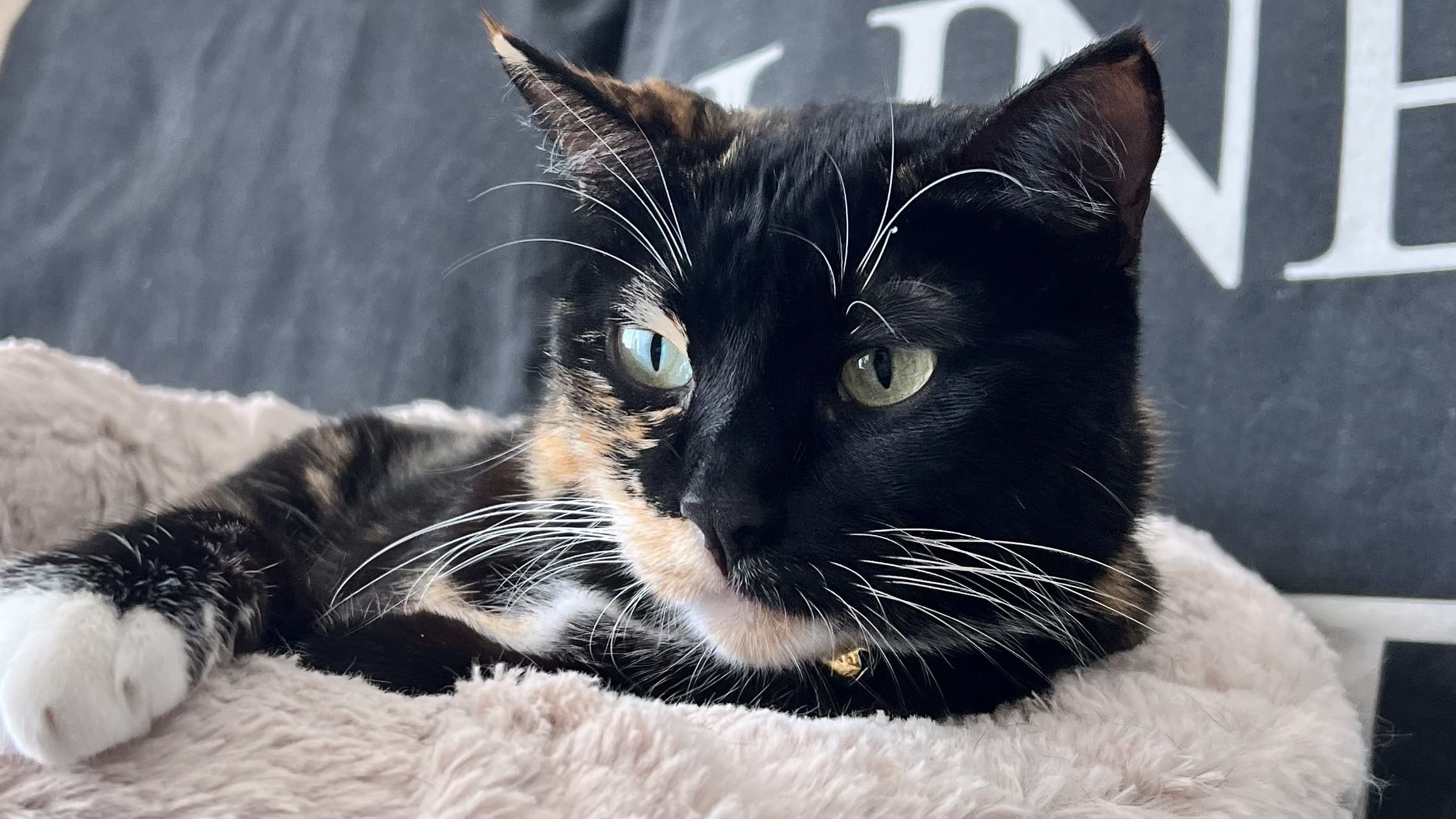 maia en su cama