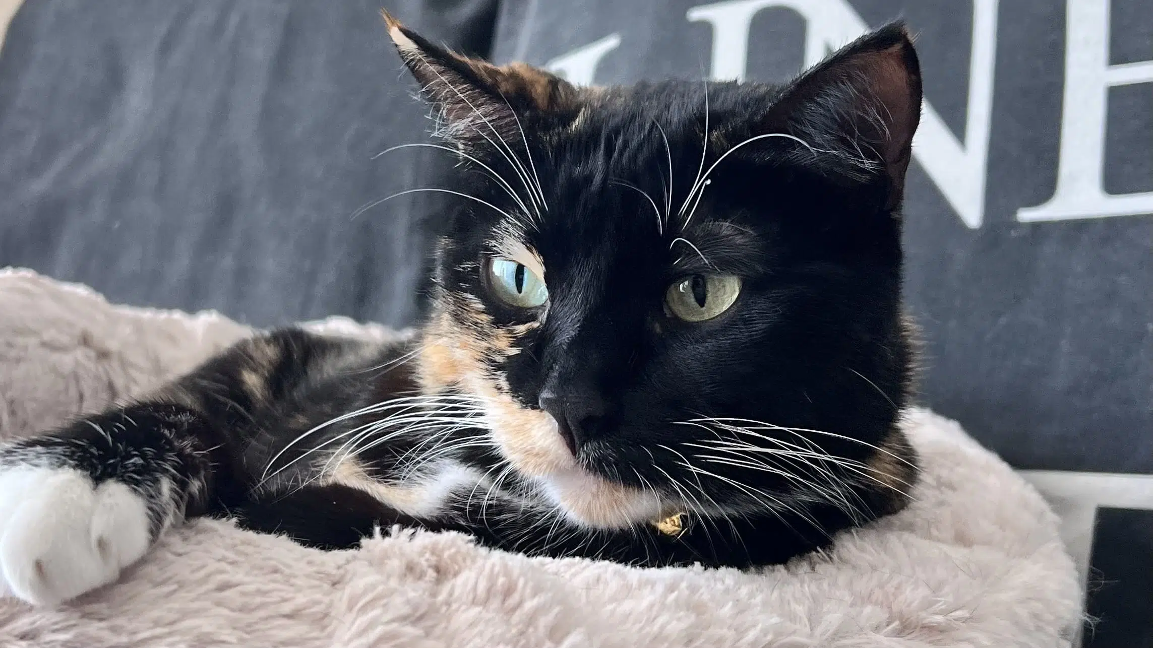 maia en su cama